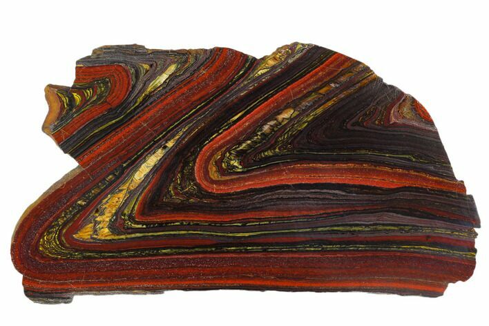Polished Tiger Iron Stromatolite - Billion Years #129215
